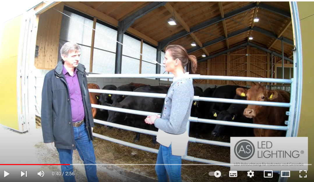 Videopraxisbericht Effiziente und flimmerfreie LED Beleuchtung für den Kuhstall